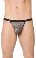 mens thong 4528   grey panther onesize