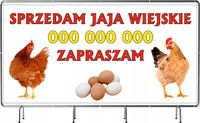 BANER REKLAMOWY 200x100cm duży wybór różne wzory SPRZEDAM JAJA WIEJSKIE