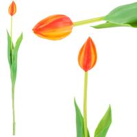 CV07588-8 TULIPAN GUMOWANY POJEDYNCZY POMARAŃCZOWY JAK ŻYWY KWIAT