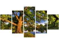 product-compare-58700788