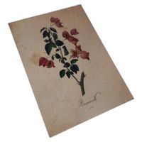 product-compare-62556159