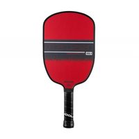 Rakietka do pickleballa JOOLA Agassi Champion 12
