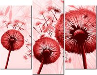 product-compare-58672909