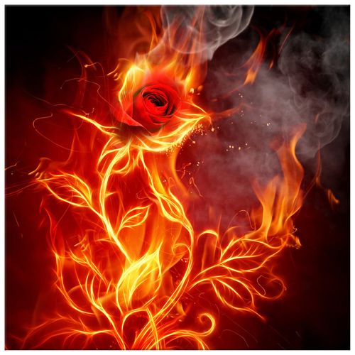 30X30Cm Obraz *** Na Płótnie *** na Arena.pl