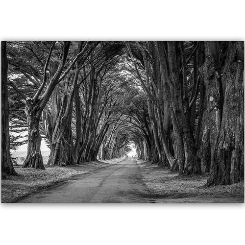 Deco Panel, Aleja drzew 90x60 na Arena.pl