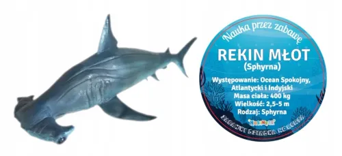 REKIN MŁOT 56 CM DŁUGOŚCI RĘCZNIE MALOWANE na Arena.pl