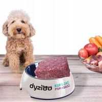 MIĘSO MROŻONE DLA PSA WOŁOWE Z/K KOSTKA 10kg wołowina surowa BARF