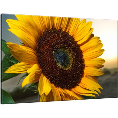 60X40 Obraz Na Płótnie Do Salonu na Arena.pl