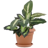 Donica okrągła 25 cm + podstawka Terrakota