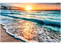 product-compare-58646779