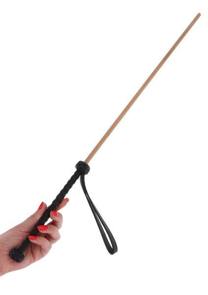 The Obedience Cane zdjęcie 7