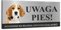 Tabliczka UWAGA ZŁY PIES BEAGLE Aluminiowa DRUK UV