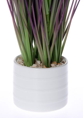 Trawa Mini Pink 30 cm na Arena.pl