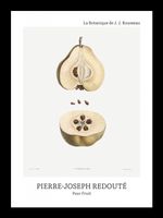 Plakat 13x18cm Design Pear Fruit, Redoute Vintage do Salonu