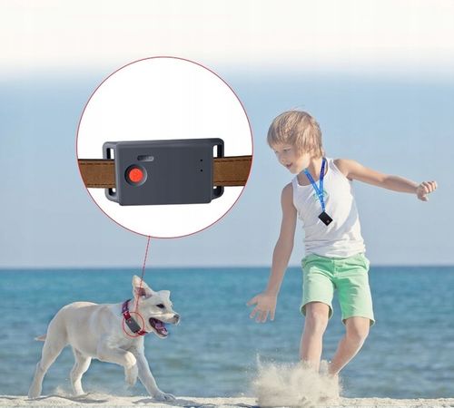 MINI LOKALIZATOR GPS TRACKER SINOTRACK ST904 PODSŁUCH SOS 15DNI 1200mah APP na Arena.pl