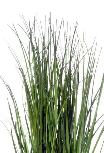 Trawa Mini Green 30 Cm na Arena.pl