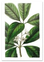 Plakat cyfrowy do wydruku zielone rośliny