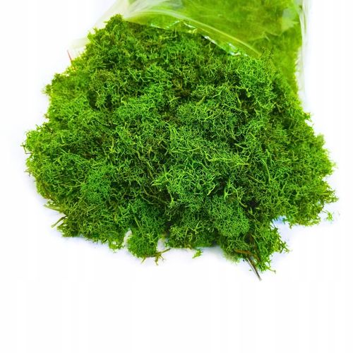 Mech CHROBOTEK RENIFEROWY fiński 500g ŚCIÓŁKA jasno zielony na Arena.pl