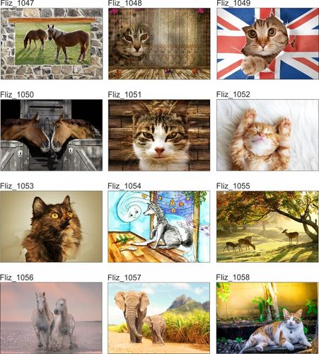 FOTOTAPETA widok okno konie mur cegła 3D 200x130 na Arena.pl