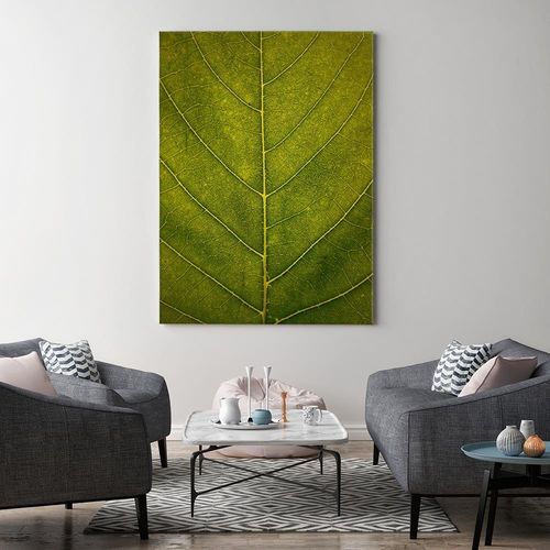 Obraz na płótnie – Canvas, liść z bliska 40x60 na Arena.pl