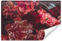 Fototapeta Bukiet PIWONIE Storczyki Kwiaty 360cm x 240cm