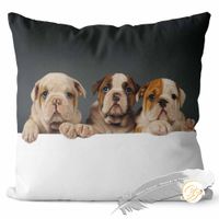 Poszewka 3D bawełna satyna 40x40cm MAŁY BULDOG