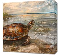 product-compare-59510357