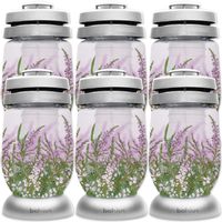 Znicze Bolsius 3S 16 Wrzos wkłady 36h 1,5 dnia 6 sztuk