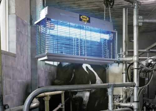 Lampa Rażąca CRI CRI 308E Professional na Arena.pl