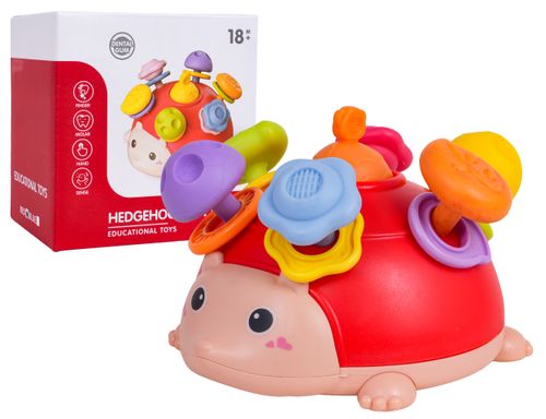 Wielofunkcyjna Zabawka Dla Najmłodszych Jeżyk na Arena.pl