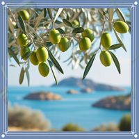 Physis doskonała i zdrowa GRECKA oliwa z oliwek 0,2% 1L data aż do 05/27