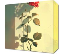 product-compare-59506162