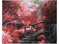 40X50CM OBRAZ SECRET GARDEN MOST OGRÓD JAPONIA KOLORY OBRAZ