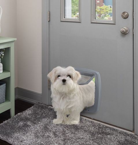 Szare drzwiczki dla średnich i dużych psów oraz dużych kotów - Swing 9 na Arena.pl