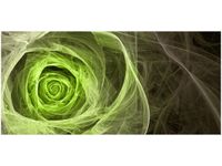 OBRAZ GREEN ROSE