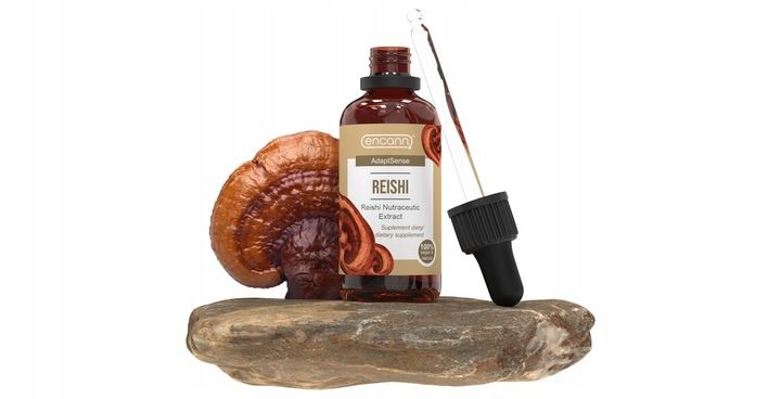Encann Lion's Mane (Soplówka Jeżowata) + Reishi w płynie ekstrakt 2x 50 ml zdjęcie 4