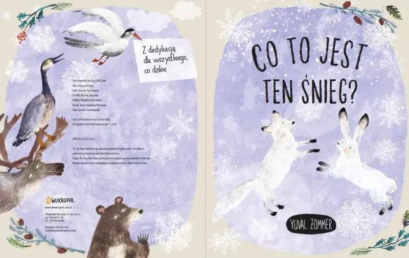 Co to jest ten śnieg? zdjęcie 2