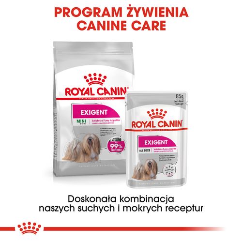 royal canin ccn mini exigent 3kg na Arena.pl