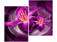 80X70CM RÓŻOWE KOSMICZNE KWIATY JAKUB BANAŚ DUO OBRAZ