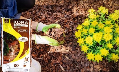 KORA SOSNOWA PRZESIEWANA SORTOWANA Dekoracja Pachnąca Lasem SUPER na Arena.pl