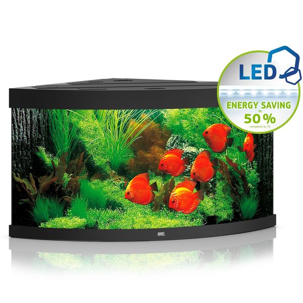 Juwel Trigon 350 LED czarny - akwarium zdjęcie 1