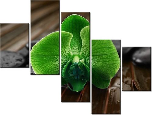 100 75CM OBRAZ 5 ELEM LIMONKOWY STORCZYK ŚCIENNY na Arena.pl