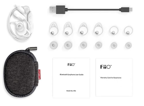 FiiO Słuchawki douszne bluetooth FB1 białe na Arena.pl