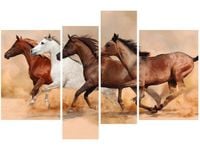 OBRAZ KONIE BIEGNĄCE GALOPEM