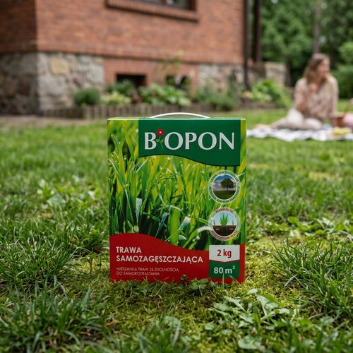 BOPON - Trawa Samozagęszczająca 80 m² - 2 kg na Arena.pl