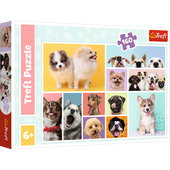 ND24_14331 Puzzle - 160 - Psia przyjazn - Trefl 1