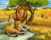 FOTOTAPETA dziecięca Król Lew Zoo Safari na wymiar