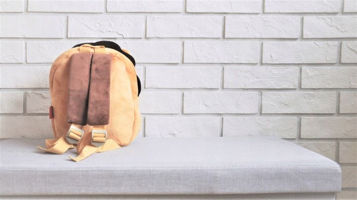 Plecak dla przedszkolaka pluszowy prezent dla chłopca 4 lata Maskotka Lew zdjęcie 4