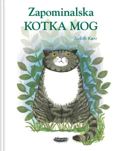 Zapominalska kotka Mog zdjęcie 1