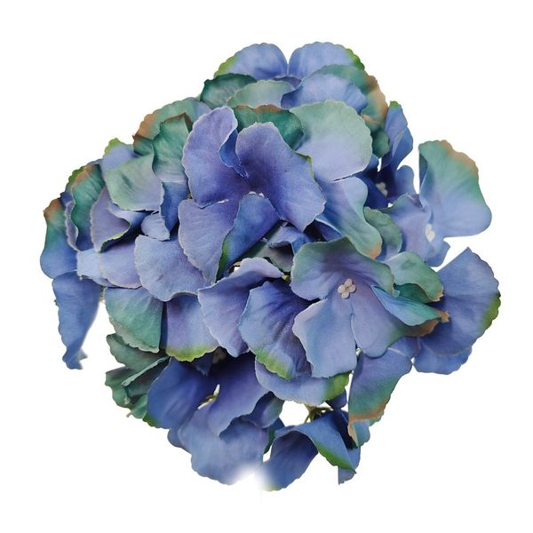 Hortensja wyrobowa lt.navy zdjęcie 1